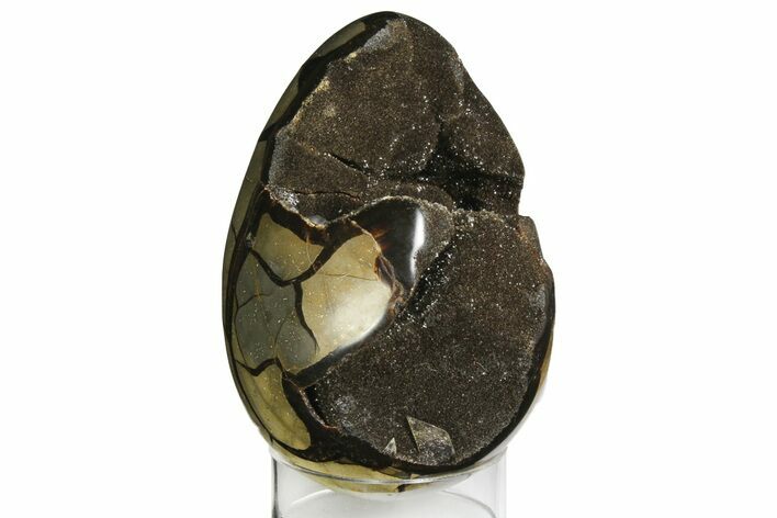 Septarian Dragon Egg Geode - Black Crystals #157891